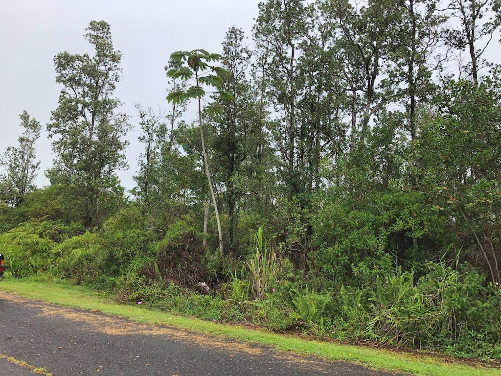 Tiki Ln, Pahoa, HI 96778
