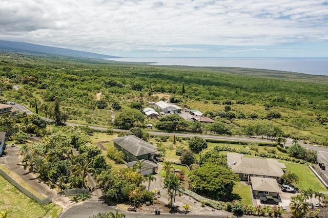 83-1008 Kahula Pl, Captain Cook, HI 96704 - bird's eye view of a forest