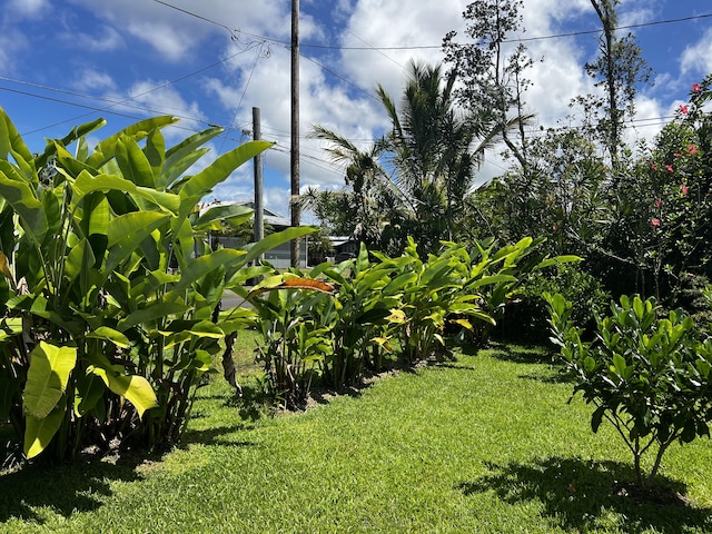 15-2778 Akule St, Pahoa, HI 96778 - photo 21