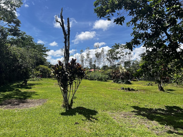 15-2778 Akule St, Pahoa, HI 96778 - photo 23