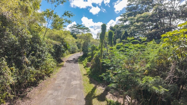 Waipouli Rd Unit 5, Kapaa, HI 96746