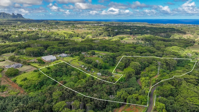 Waipouli Rd Unit 5, Kapaa, HI 96746