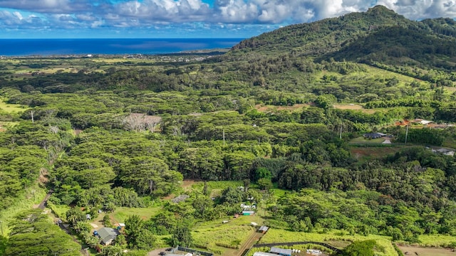 Waipouli Rd Unit 5, Kapaa, HI 96746