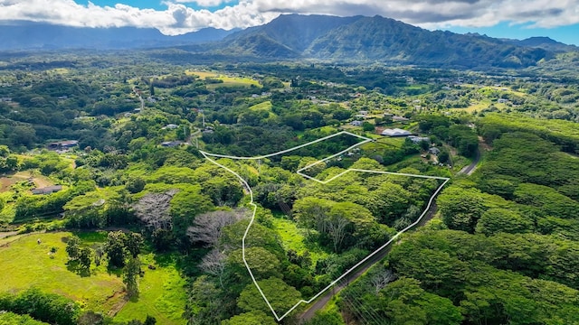 Waipouli Rd Unit 5, Kapaa, HI 96746