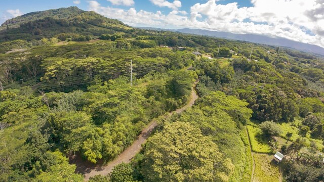 Waipouli Rd Unit 5, Kapaa, HI 96746