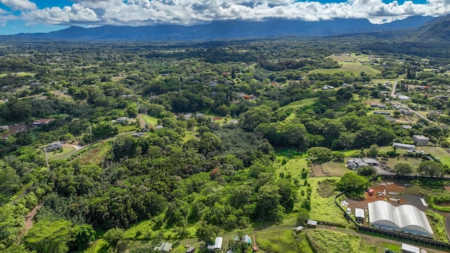 Waipouli Rd Unit 5, Kapaa, HI 96746
