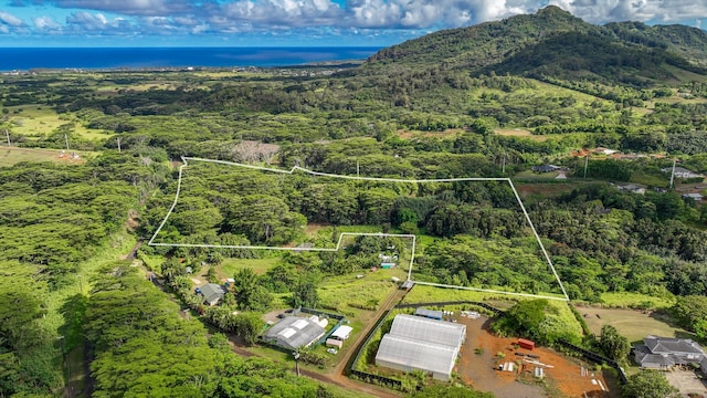 Waipouli Rd Unit 5, Kapaa, HI 96746
