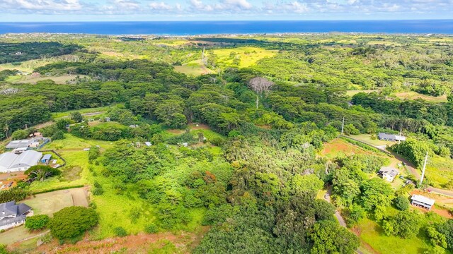 Waipouli Rd Unit 5, Kapaa, HI 96746