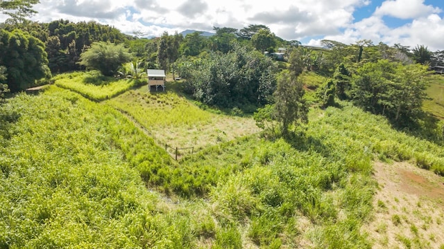 Waipouli Rd Unit 5, Kapaa, HI 96746
