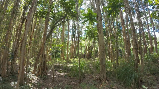 Waipouli Rd Unit 5, Kapaa, HI 96746