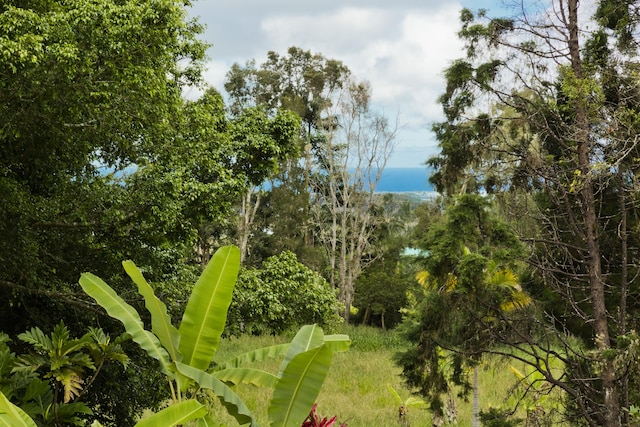 18-3935 S Kopua Rd, Mountain View, HI 96771 - photo 11