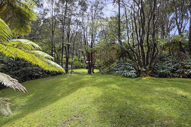 11-3832 5th St, Volcano, HI 96785 - view of green lawn