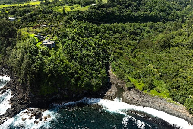36-2850 Hawaii Belt Rd, Ookala, HI 96774 - drone / aerial view of a forest