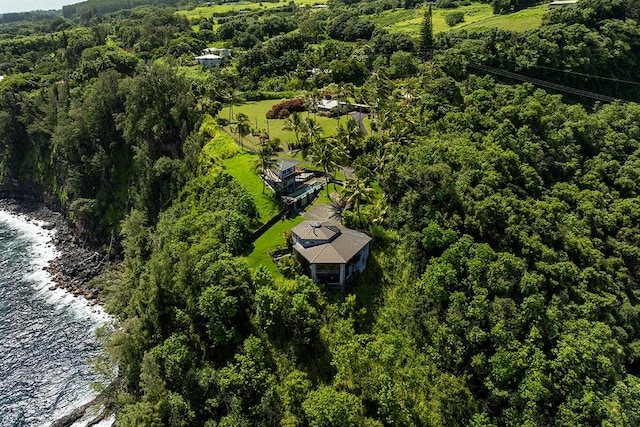 36-2850 Hawaii Belt Rd, Ookala, HI 96774 - drone / aerial view of a nearby body of water