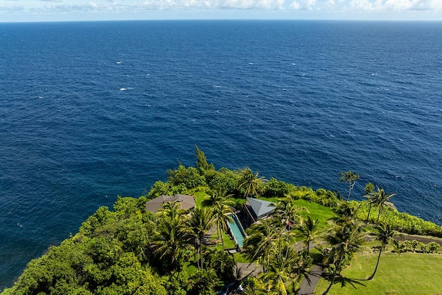36-2850 Hawaii Belt Rd, Ookala, HI 96774 - view from above of property with a large body of water