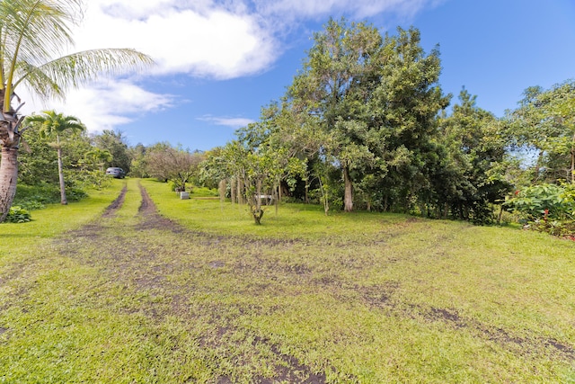87-2642 Hawaii Belt Rd, Captain Cook, HI 96704 - view of green lawn