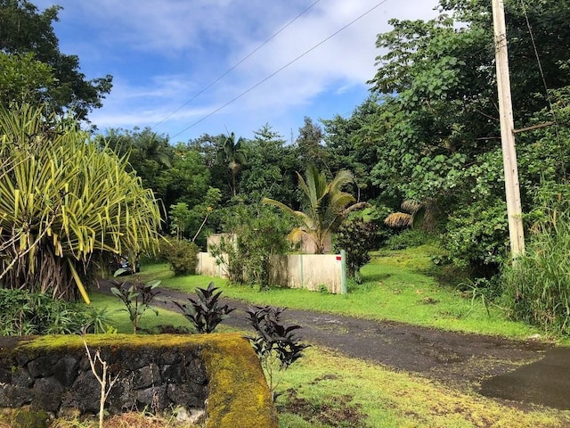 15-3097 Pahoa Kapoho Rd, Pahoa, HI 96778 - photo 3