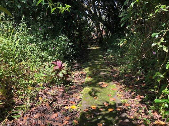 15-3097 Pahoa Kapoho Rd, Pahoa, HI 96778 - photo 10