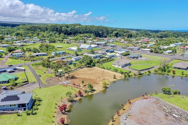 437 Kaumana Dr, Hilo, HI 96720