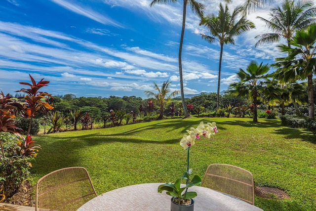 4100 Queen Emmas Dr Unit 7, Princeville, HI 96722 - view of green lawn