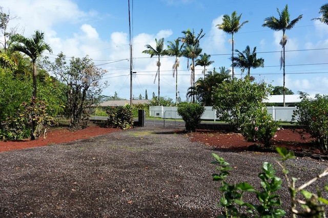 15-1688 9th Ave, Keaau, HI 96749 - view of yard