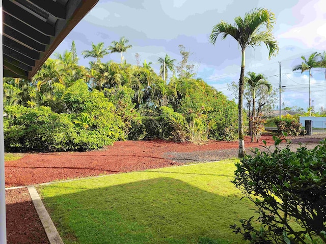 15-1688 9th Ave, Keaau, HI 96749 - view of grassy yard