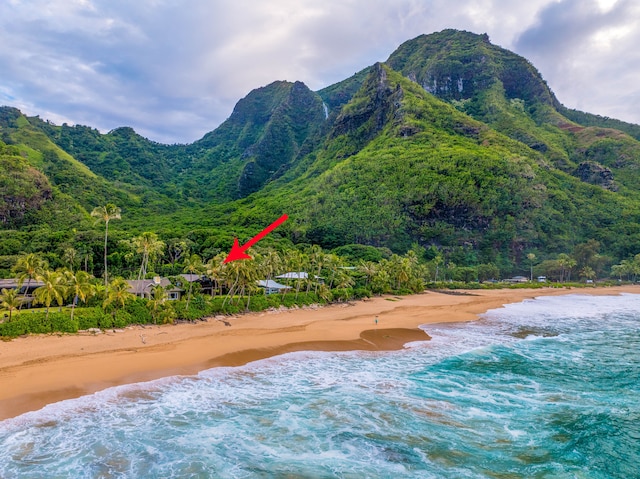 5-7834 Kuhio Hwy, Hanalei, HI 96714 - view of mountain backdrop with extended coastline and a forest