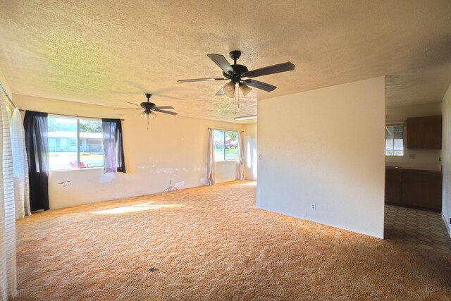 14-3435 Nanawale Blvd, Pahoa, HI 96778 - unfurnished room featuring carpet floors, a textured ceiling, and ceiling fan