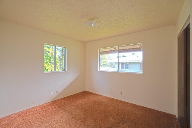 14-3435 Nanawale Blvd, Pahoa, HI 96778 - unfurnished bedroom with multiple windows, carpet, and a textured ceiling