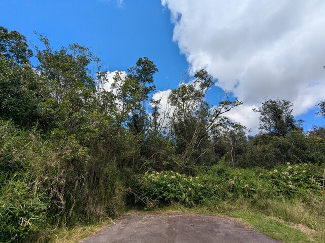 18-4218 Haumalu St, Mountain View, HI 96771 - photo 3