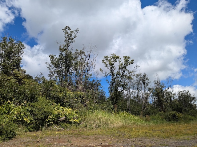 18-4218 Haumalu St, Mountain View, HI 96771 - photo 4