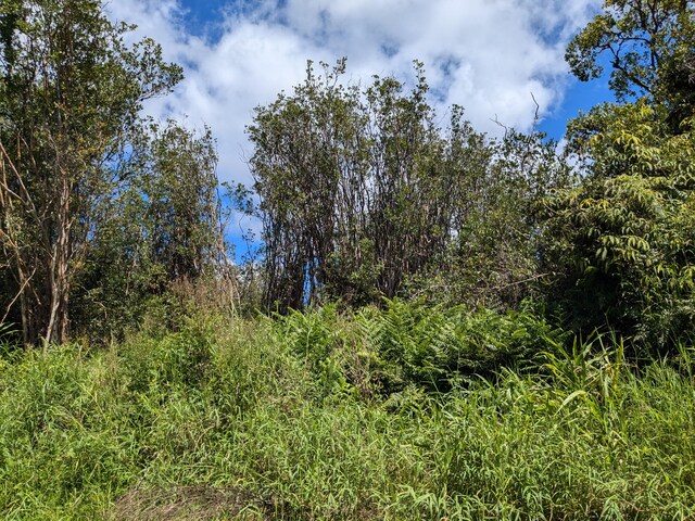 18-4218 Haumalu St, Mountain View, HI 96771 - photo 7
