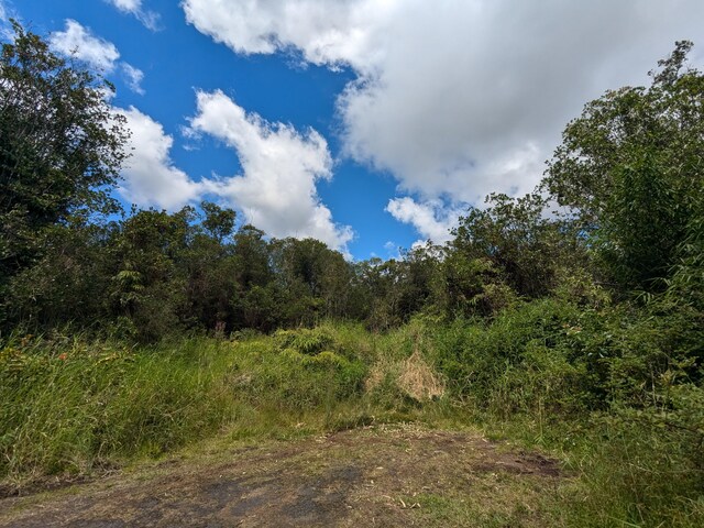18-4218 Haumalu St, Mountain View, HI 96771 - photo 8