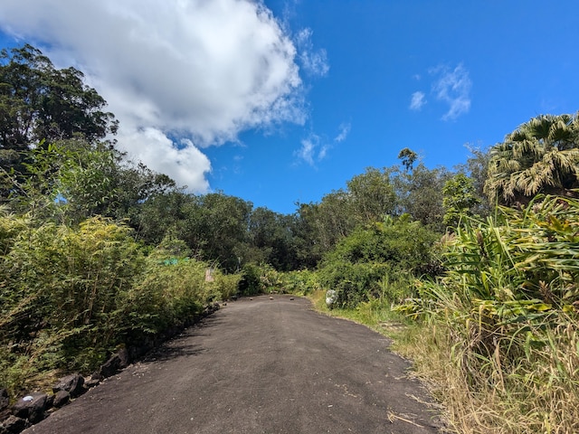 18-4218 Haumalu St, Mountain View, HI 96771 - photo 11
