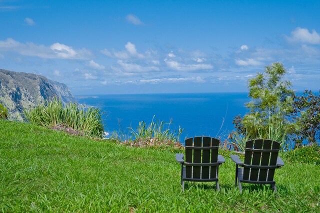 48-5528 Waipio Valley Rd, Honokaa, HI 96727 - photo 30