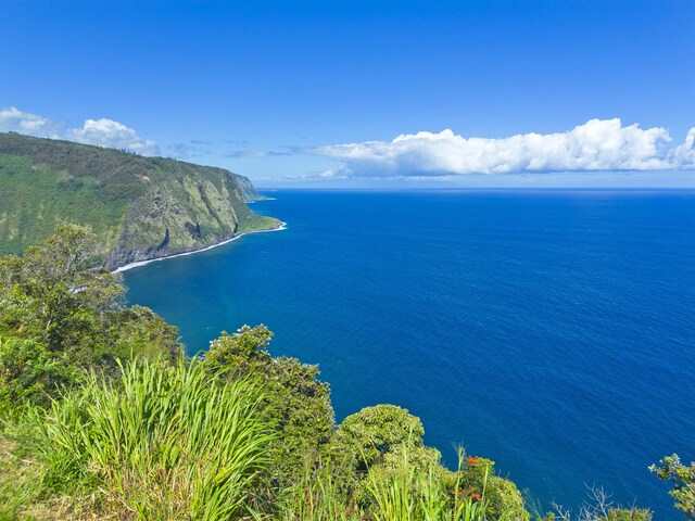 48-5528 Waipio Valley Rd, Honokaa, HI 96727 - photo 28