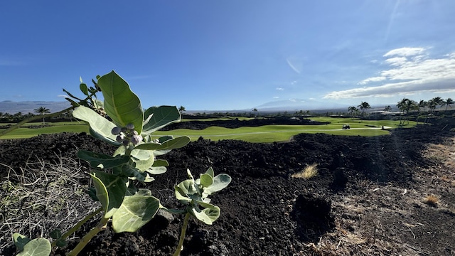 68-1019 Ke Kailani Dr, Kamuela, HI 96743