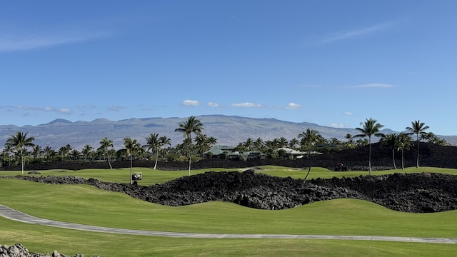 68-1019 Ke Kailani Dr, Kamuela, HI 96743