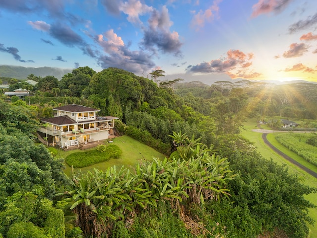 3707 Omao Rd, Koloa, HI 96756 - photo 24
