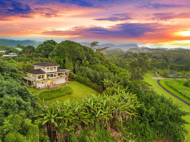 3707 Omao Rd, Koloa, HI 96756 - photo 1
