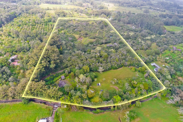 44-3342 Kula Kahiko Rd, Honokaa, HI 96727 - photo 26
