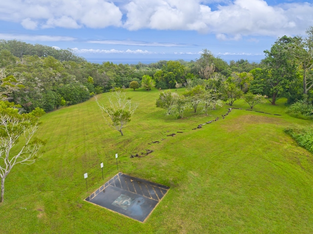 44-3342 Kula Kahiko Rd, Honokaa, HI 96727 - photo 4