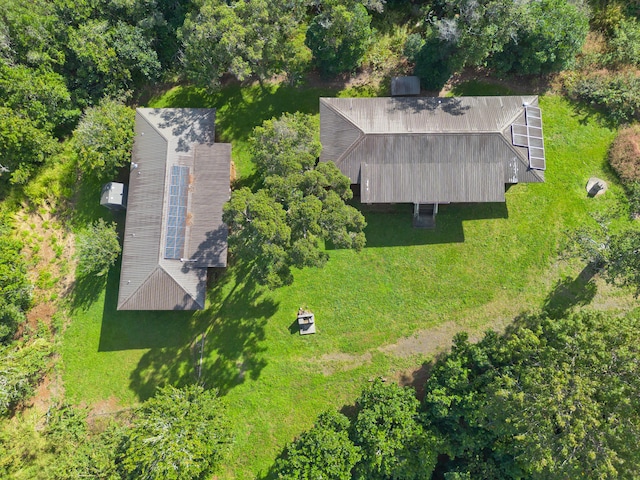 44-3342 Kula Kahiko Rd, Honokaa, HI 96727 - photo 16