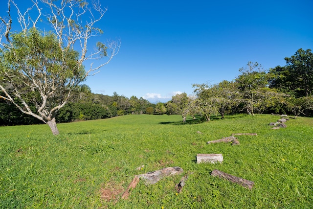 44-3342 Kula Kahiko Rd, Honokaa, HI 96727 - photo 27