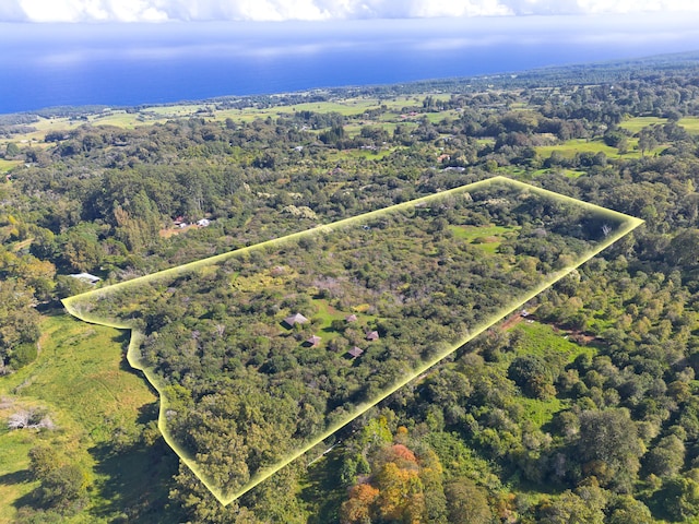 44-3342 Kula Kahiko Rd, Honokaa, HI 96727 - photo 2