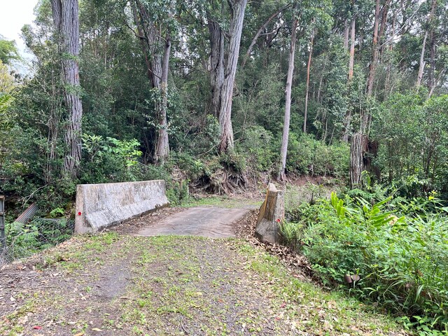 44-3342 Kula Kahiko Rd, Honokaa, HI 96727 - photo 15
