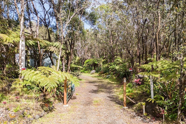 11-3832 3rd St, Volcano, HI 96785 - view of dirt / gravel driveway