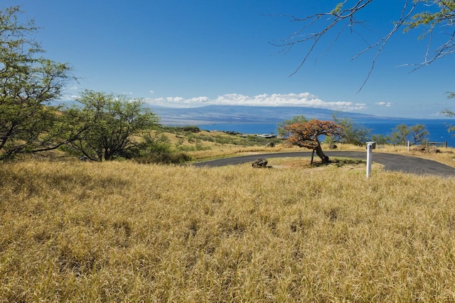 59-574 Awaa Pl, Kamuela, HI 96743 - photo 3