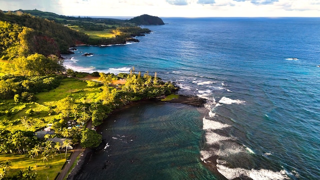 175 Haneoo Rd, Hana, HI 96713