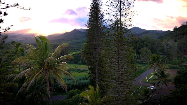 175 Haneoo Rd, Hana, HI 96713